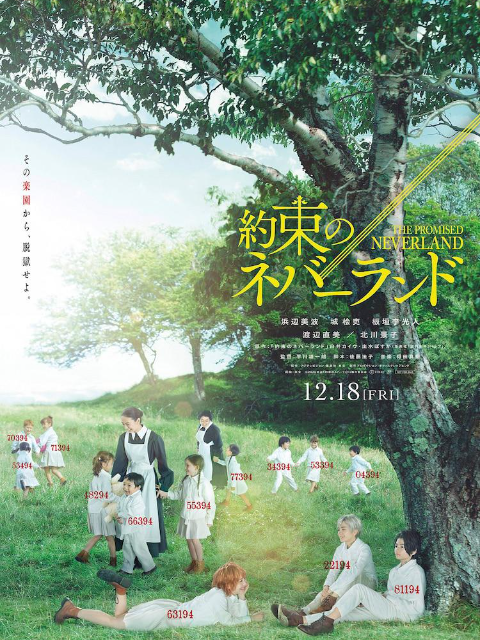 约定的梦幻岛}