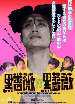 92黑玫瑰对黑玫瑰}